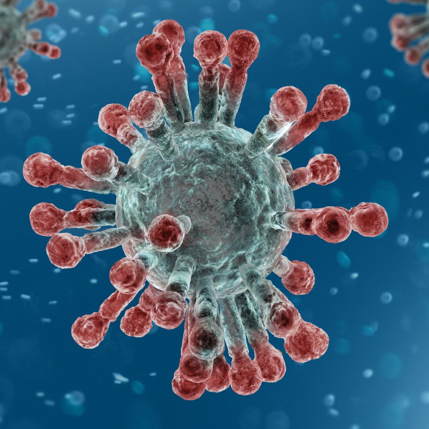 image of the virus covid